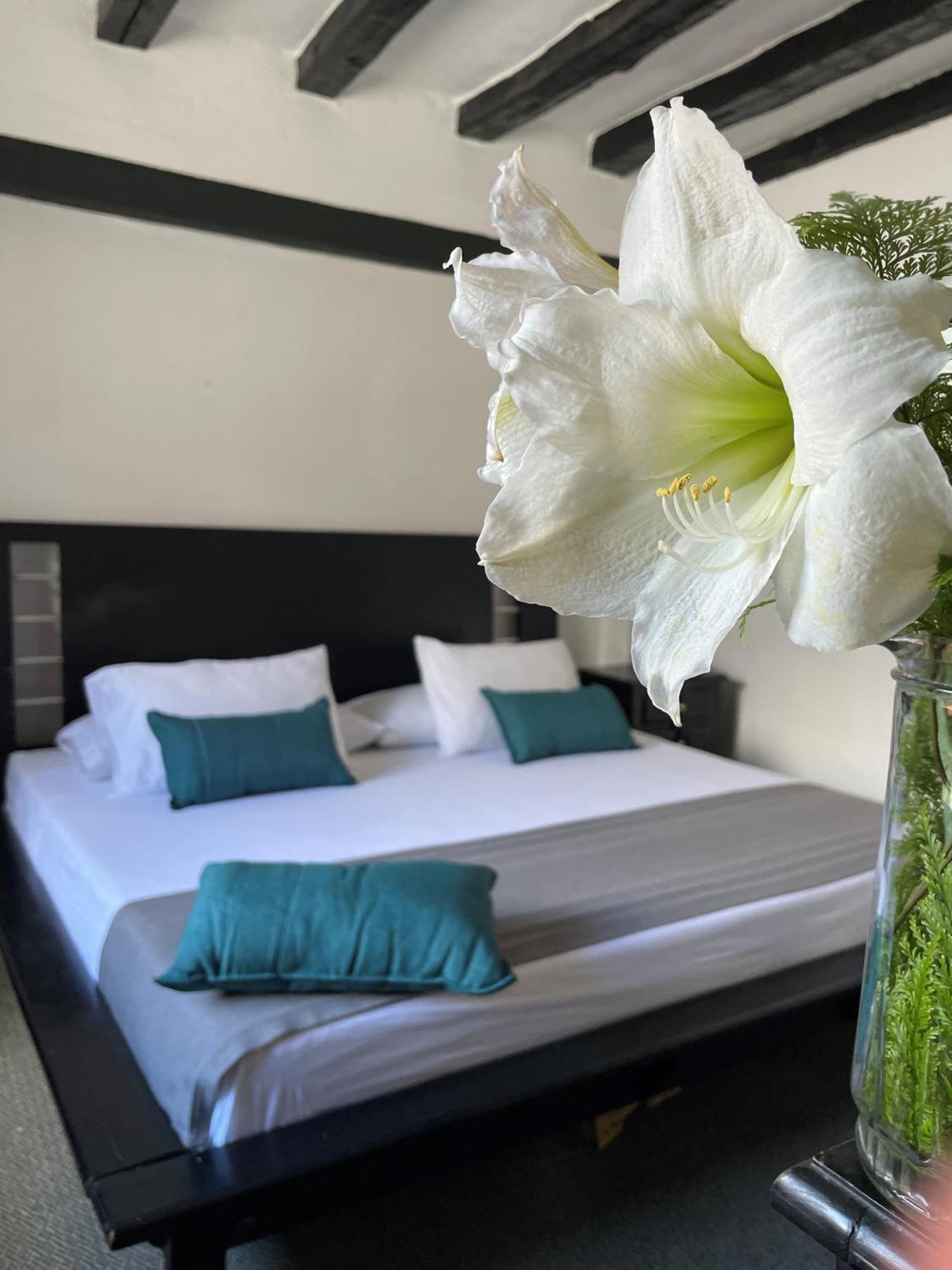 Hotel Premium Real Medellín Zewnętrze zdjęcie